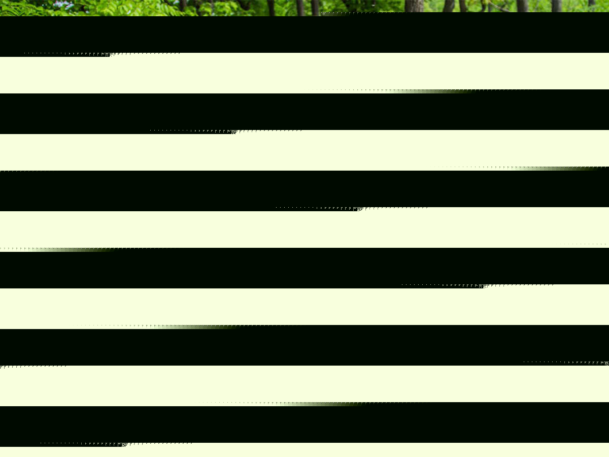 ProLink Winch Shackle Mount Assembly Black Factor 55 - Image 2