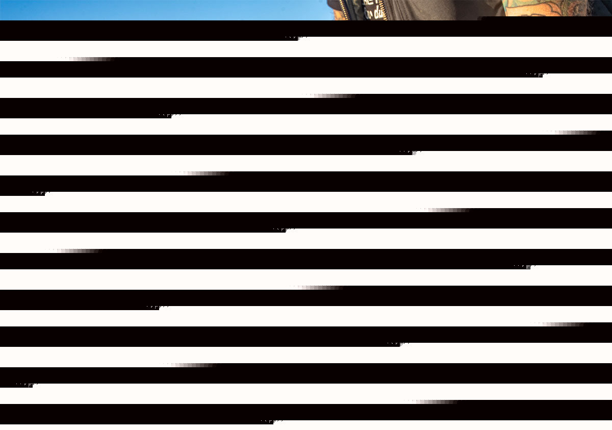 FlatLink Expert Closed Winch Shackle Mount Silver Factor 55 - Image 7