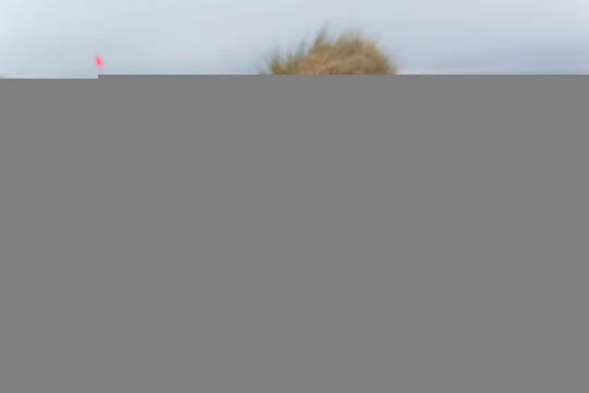 UltraHook Closed System Winch Shackle Mount Silver Factor 55 - Image 5