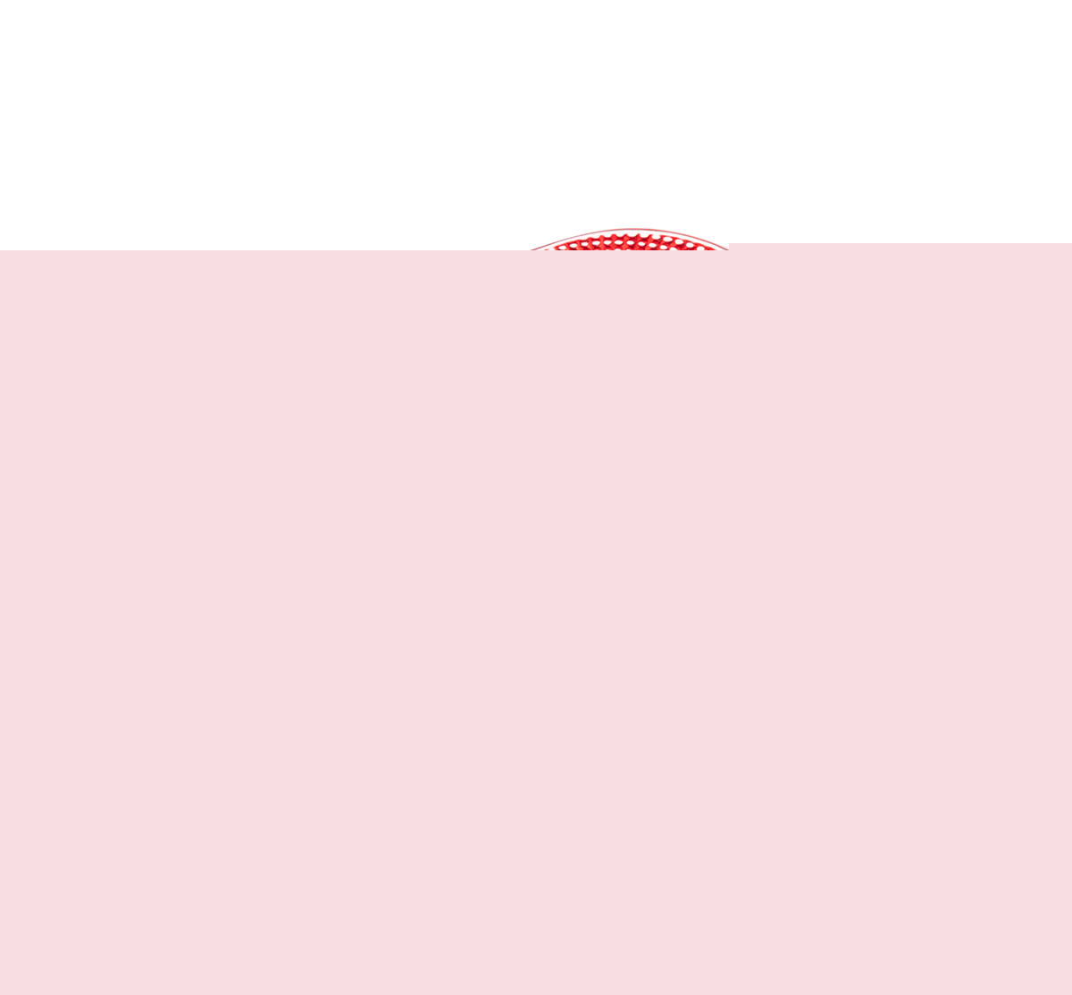 ProLink Expert Winch Shackle Mount Yellow Factor 55 - Image 3