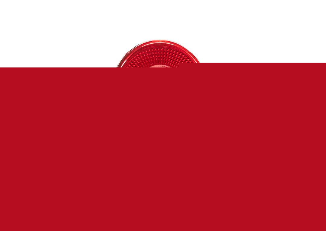 ProLink Expert Winch Shackle Mount Silver Factor 55 - Image 2