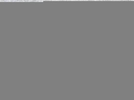 Loop Guard XXL-Gray Factor 55 - Image 4