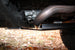 Jeep Wrangler Engine Skid Plate 2007-2018 JK Clayton Off Road - Image 14